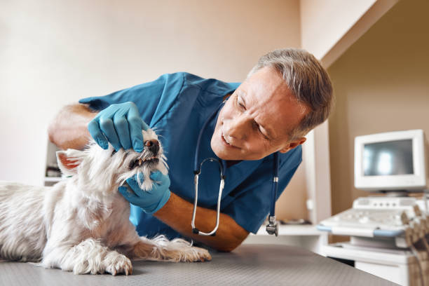 Best Emergency Tooth Extraction in Del Rey Oaks, CA